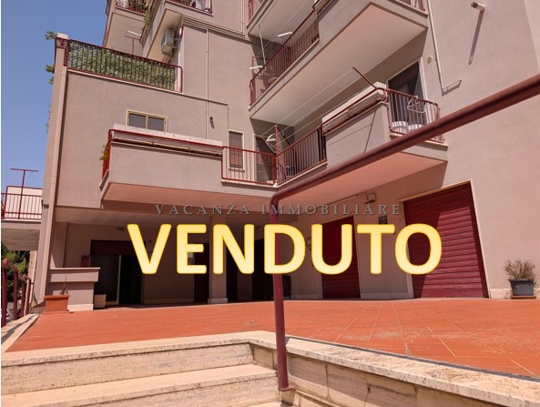 video image