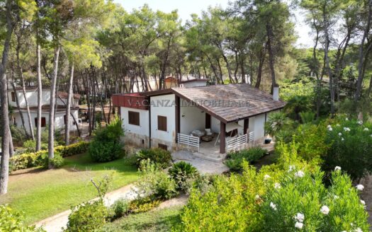 🌲 Una Villa Singola Immersa nella Natura: Il Tuo Rifugio Esclusivo