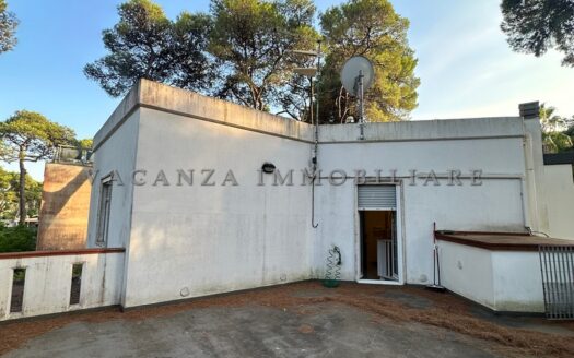 Elegante Villa di 185 mq con ampio giardino alberato di 1.000 mq a Castellaneta Marina